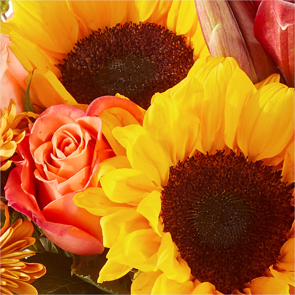 Acorn Lane Bouquet – BLOOM & CO, Gulfport FL
