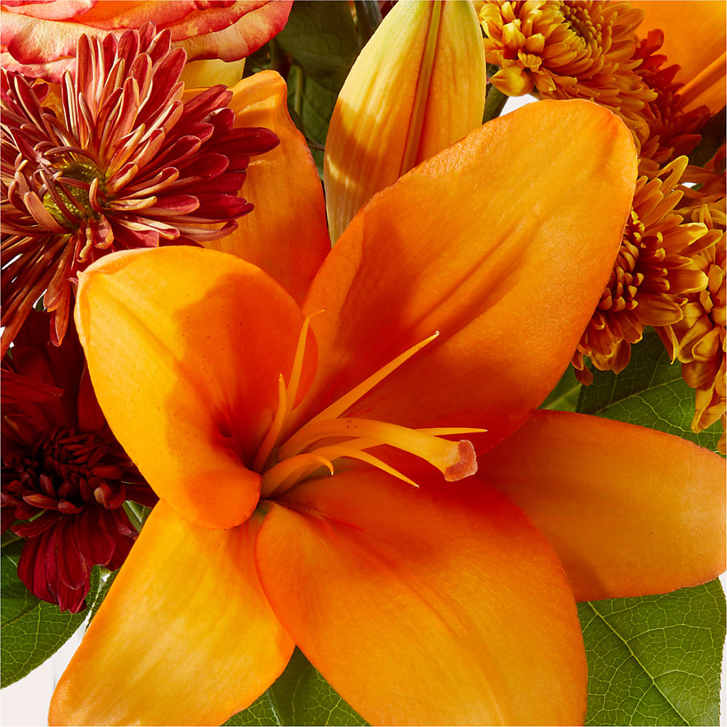 Autumnal Aroma Bouquet – BLOOM & CO, Gulfport FL