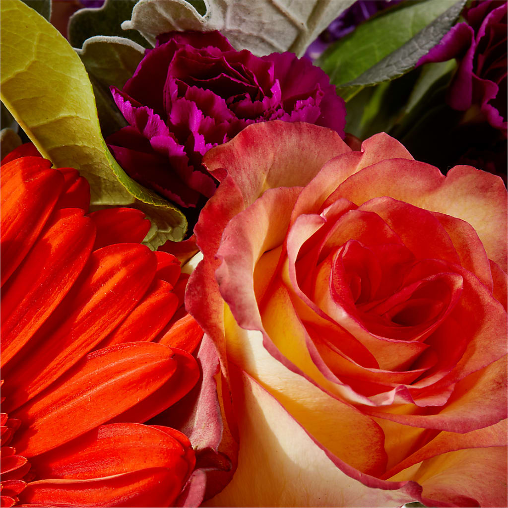 Sangria Bouquet – BLOOM & CO, Gulfport FL