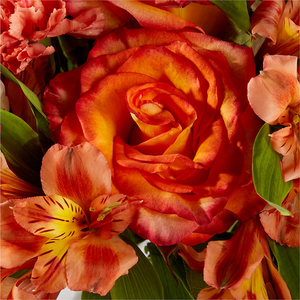 Apricot Glow Bouquet – BLOOM & CO, Gulfport FL