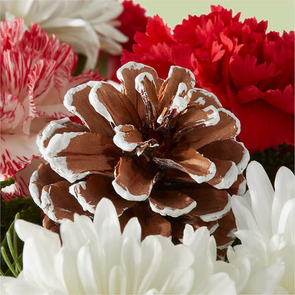 Candy Cane Lane Bouquet – BLOOM & CO, Gulfport FL