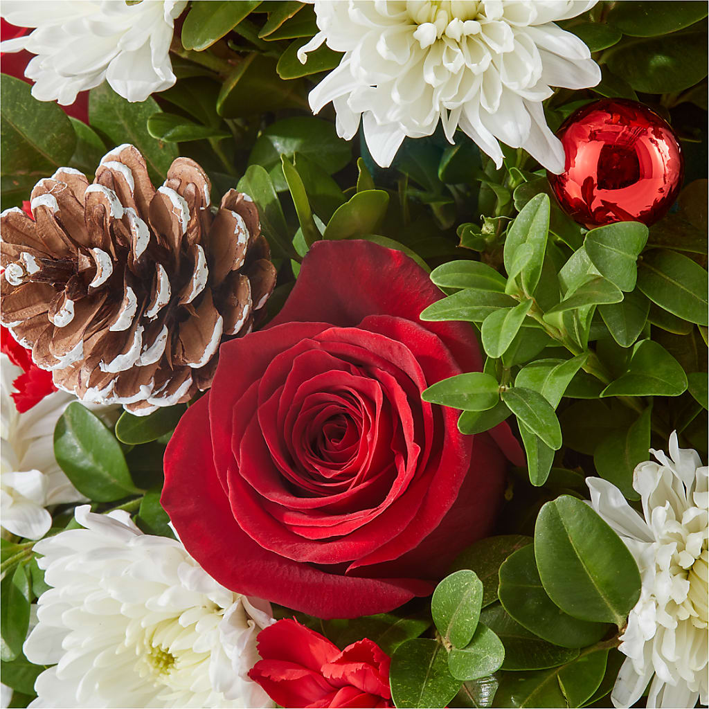 Let It Snow Tree – BLOOM & CO, Gulfport FL
