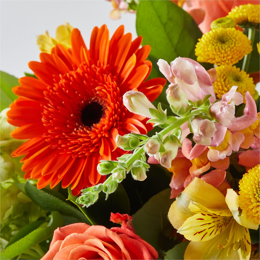 Autumn Sunshine Bouquet – BLOOM & CO, Gulfport FL