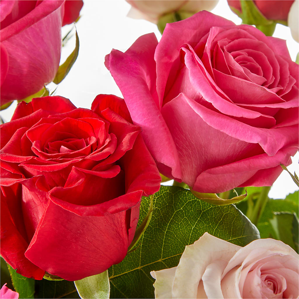 Charming Rose Bouquet – BLOOM & CO, Gulfport FL