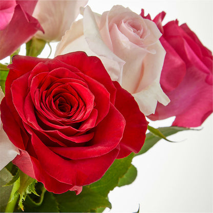 Charming Rose Bouquet – BLOOM & CO, Gulfport FL