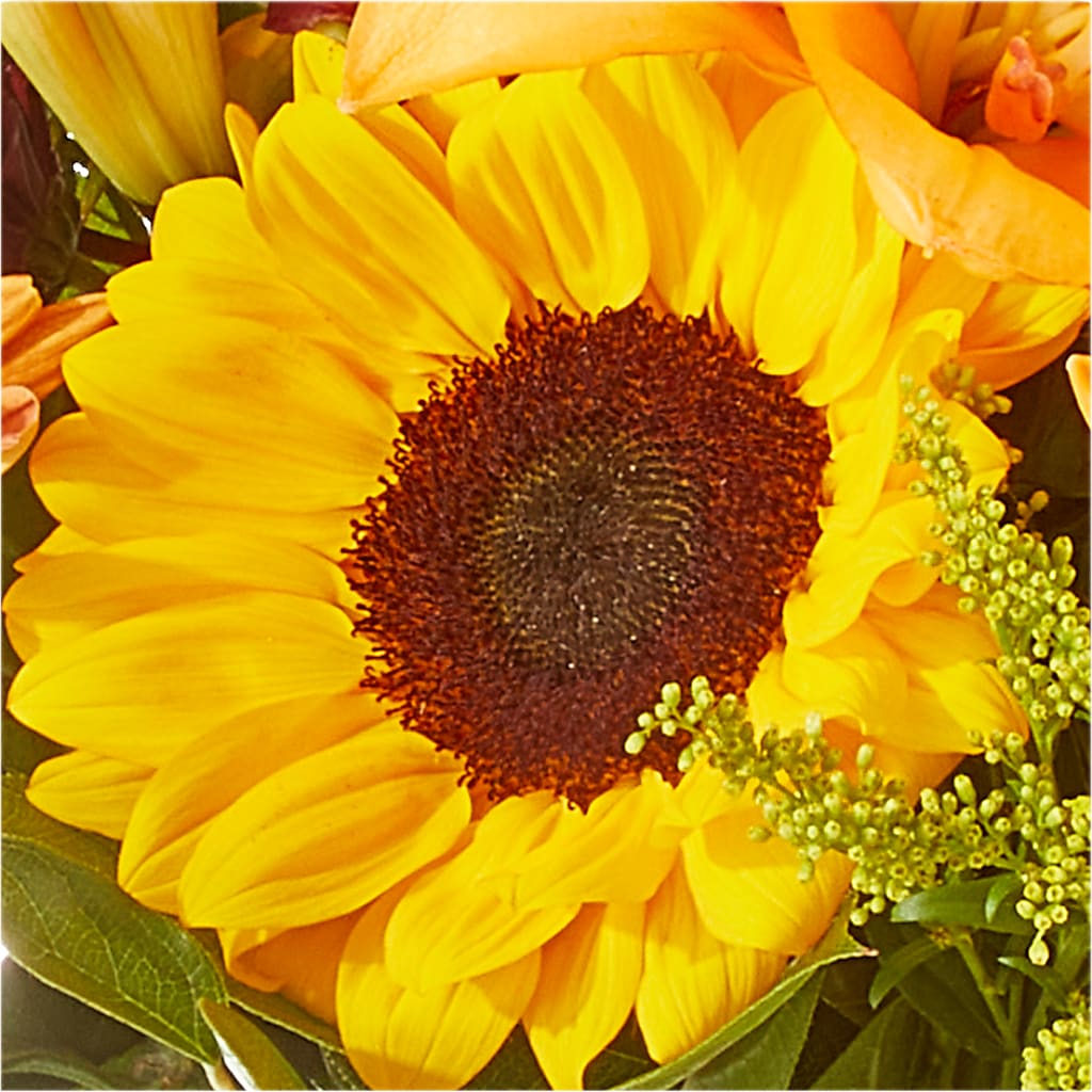 Seasons Change Bouquet – BLOOM & CO, Gulfport FL