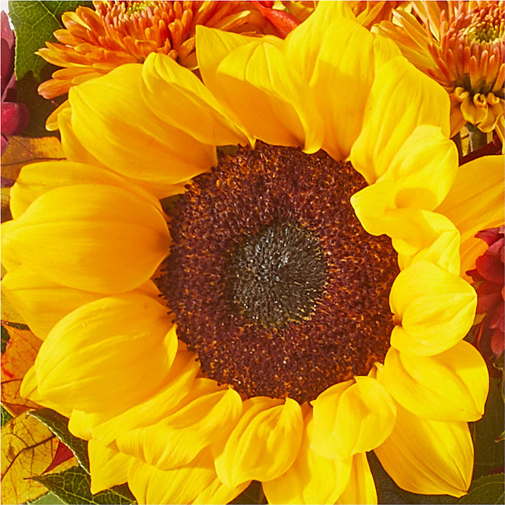 Sunny Side Bouquet – BLOOM & CO, Gulfport FL