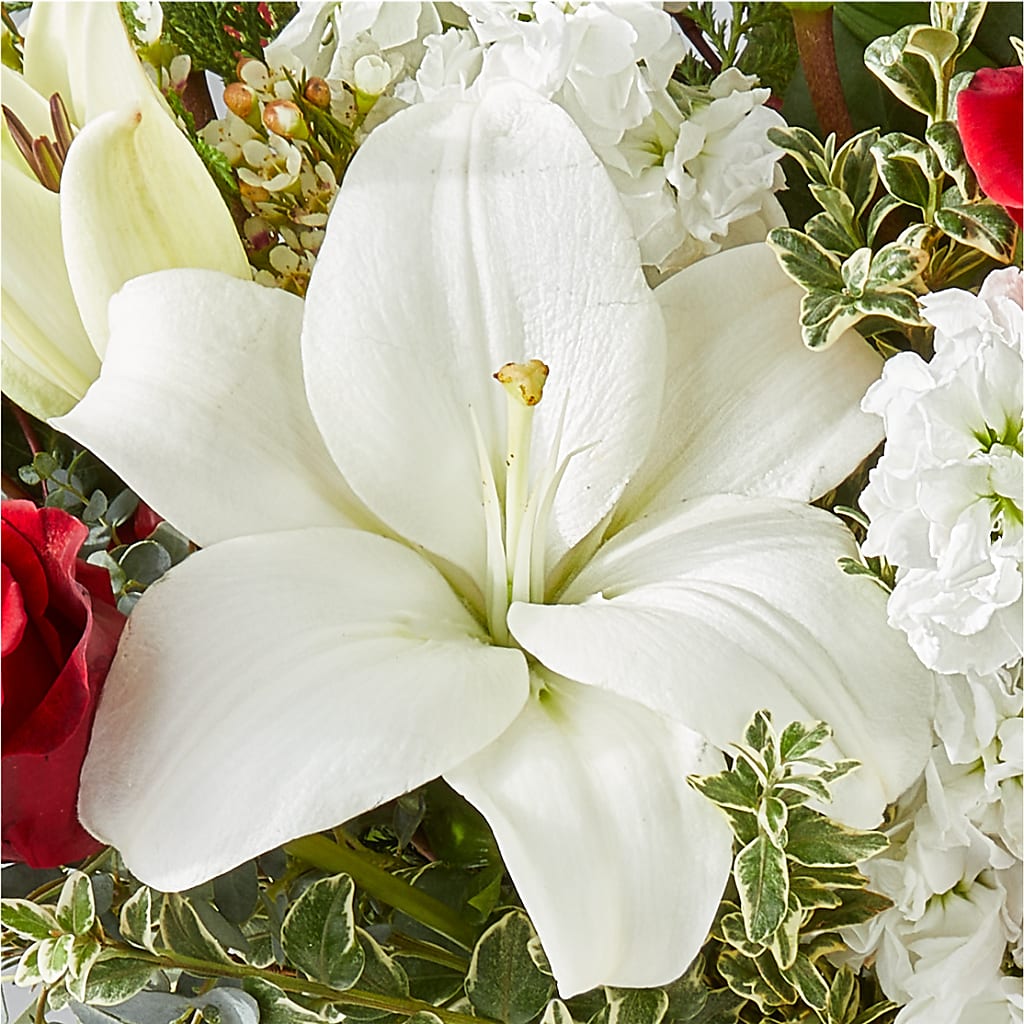 Twinkle Lights Bouquet – BLOOM & CO, Gulfport FL