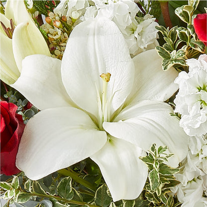 Twinkle Lights Bouquet – BLOOM & CO, Gulfport FL