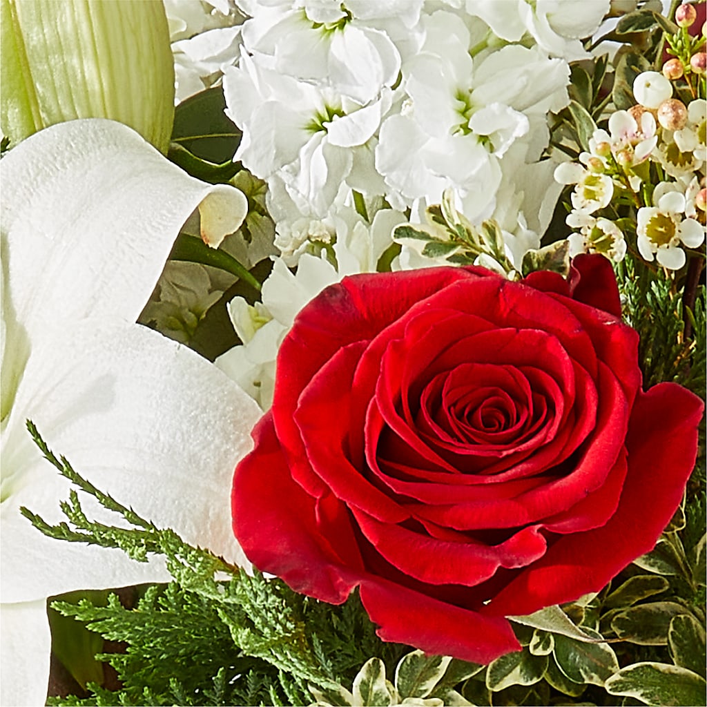 Twinkle Lights Bouquet – BLOOM & CO, Gulfport FL