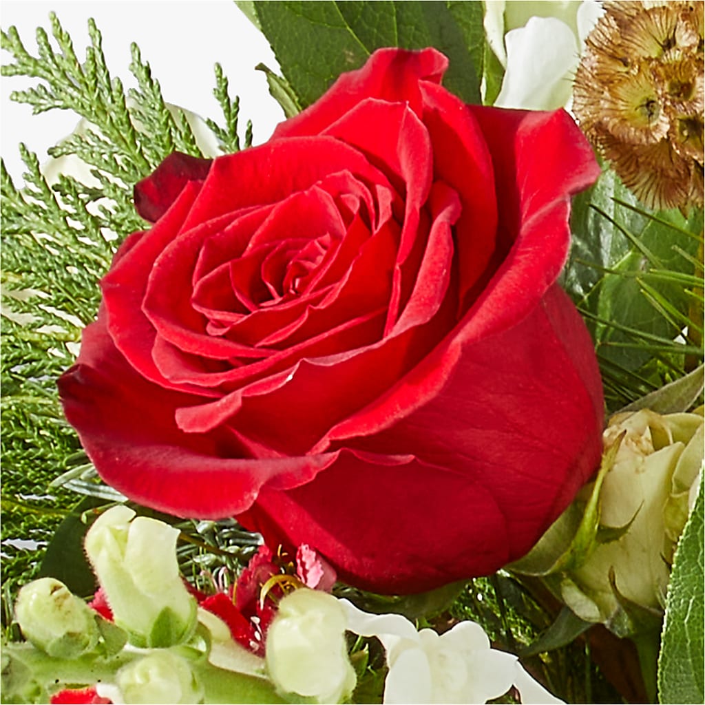 Deck the Halls Bouquet – BLOOM & CO, Gulfport FL