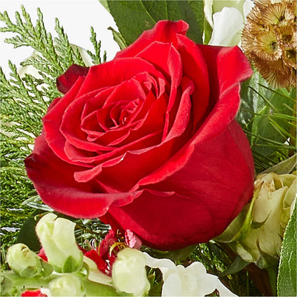 Deck the Halls Bouquet – BLOOM & CO, Gulfport FL