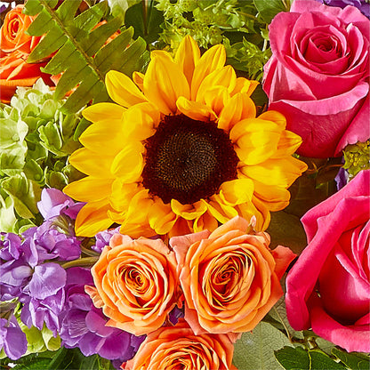 Vibrant Greetings Bouquet – BLOOM & CO, Gulfport FL