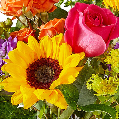 Vibrant Greetings Bouquet – BLOOM & CO, Gulfport FL