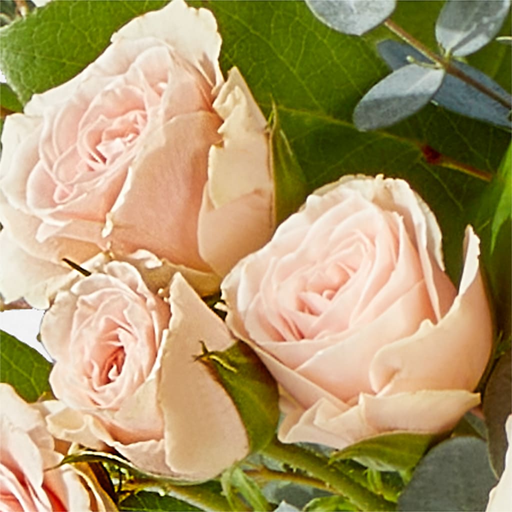 Inspired Bouquet – BLOOM & CO, Gulfport FL