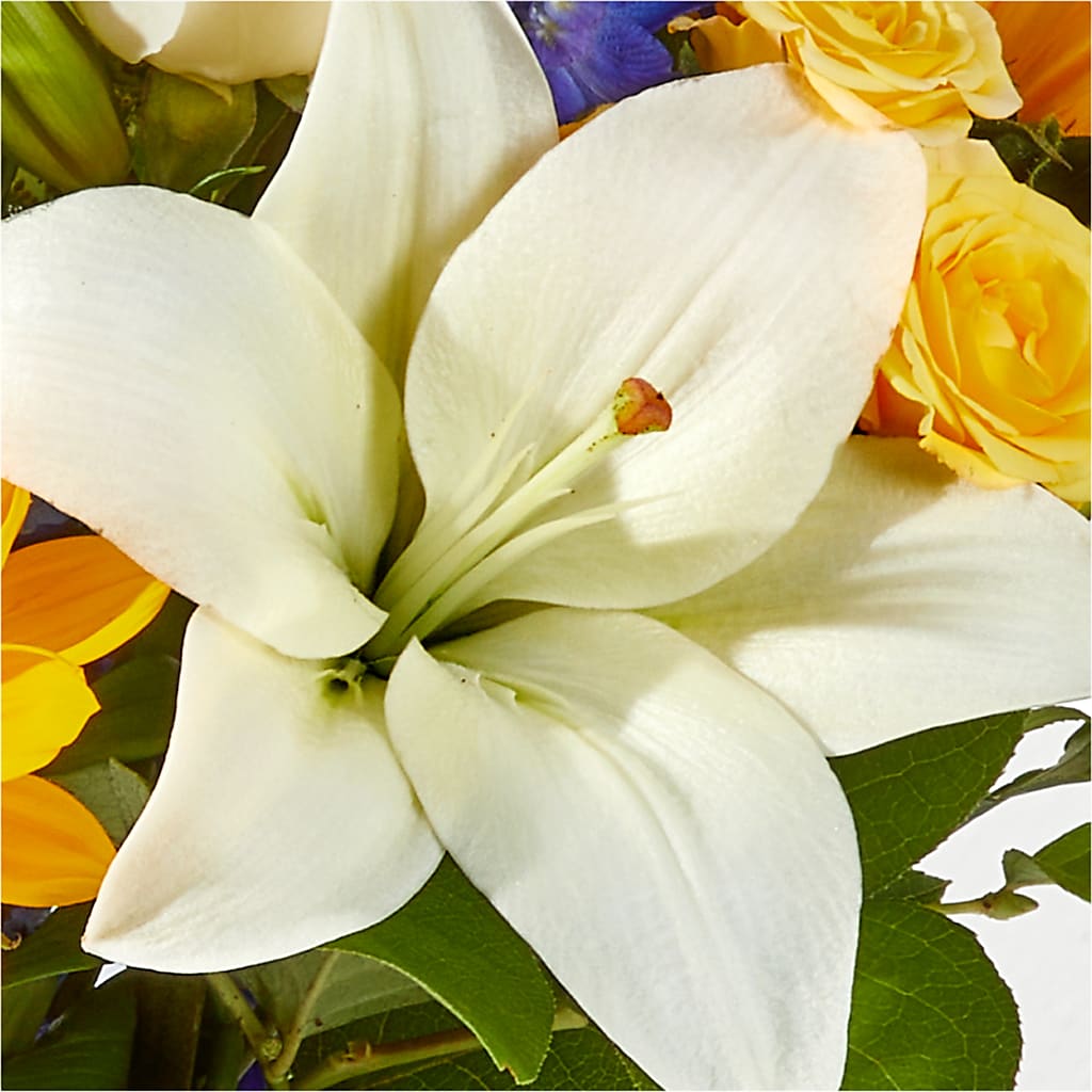 Wonderfully Sunny Bouquet – BLOOM & CO, Gulfport FL
