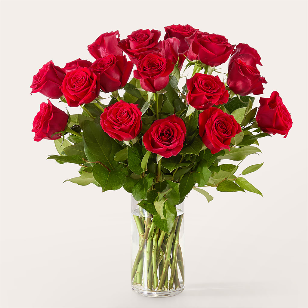 The One Red Rose Bouquet – BLOOM & CO, Gulfport FL
