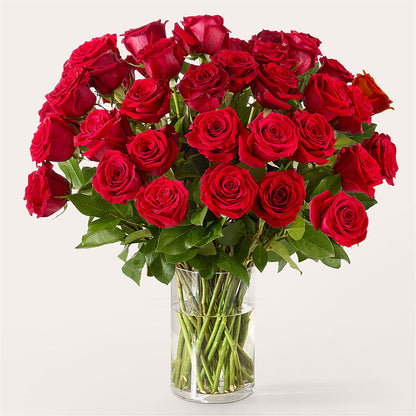 The One Red Rose Bouquet – BLOOM & CO, Gulfport FL