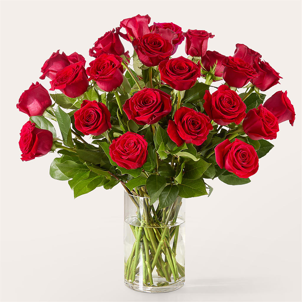 The One Red Rose Bouquet – BLOOM & CO, Gulfport FL