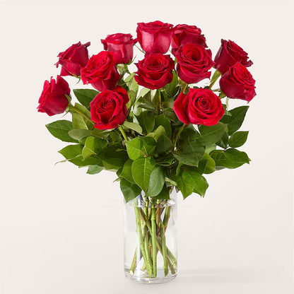 The One Red Rose Bouquet – BLOOM & CO, Gulfport FL