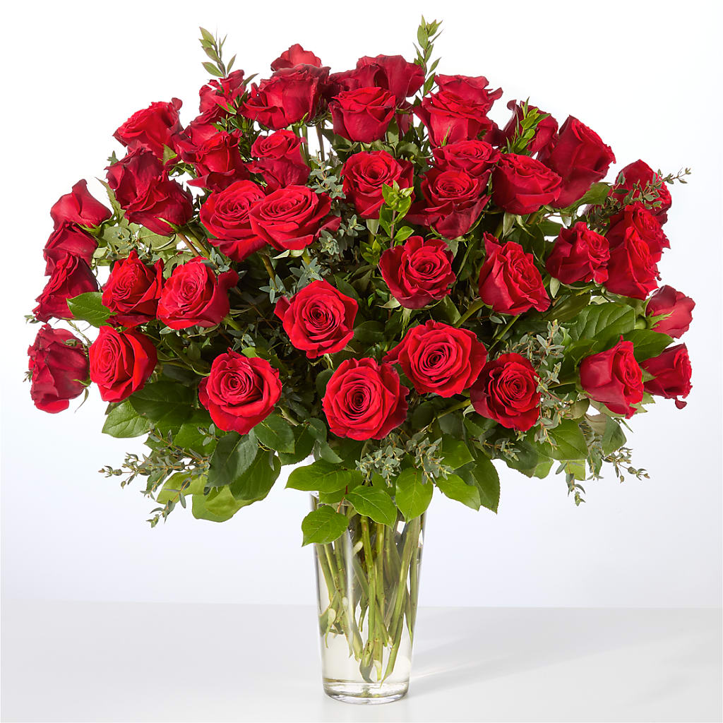 Forever Yours Fifty Stem Red Rose Bouquet – BLOOM & CO, Gulfport FL