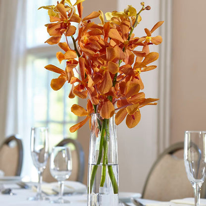 Orange Mokara Bud Vase – BLOOM & CO, Gulfport FL