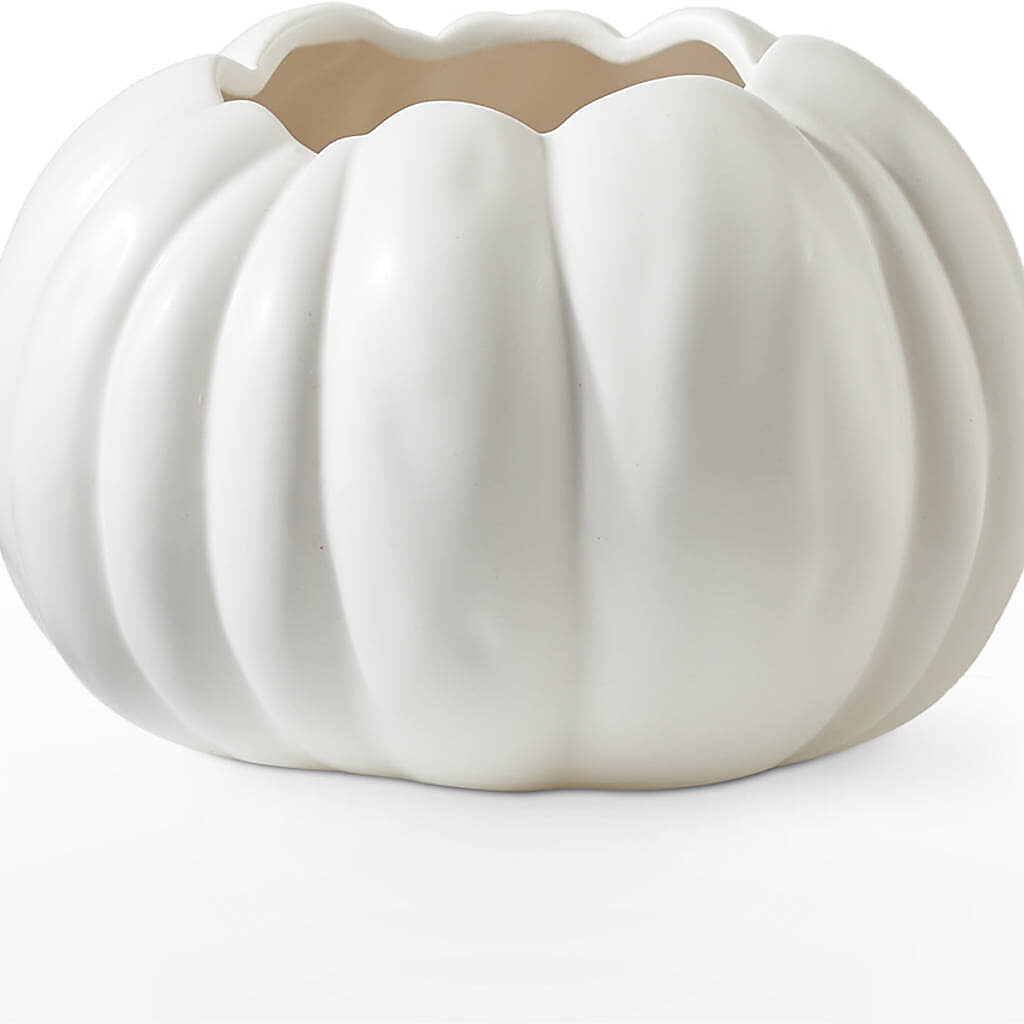 Pumpkin to Talk About Bouquet – BLOOM & CO, Gulfport FL